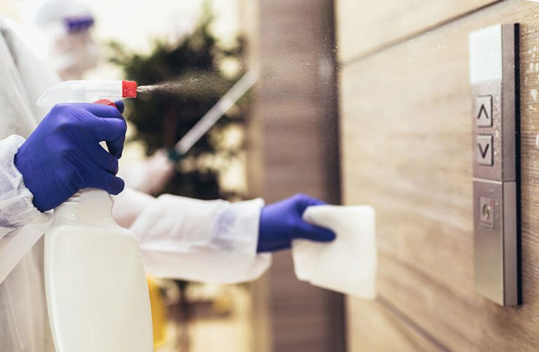 How to Find a Reputable Cleaning and Disinfecting Company Bee Line